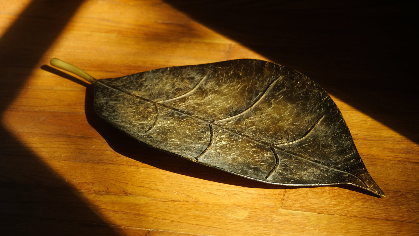 Botanical Trinket Dish — Entryway Catch-All