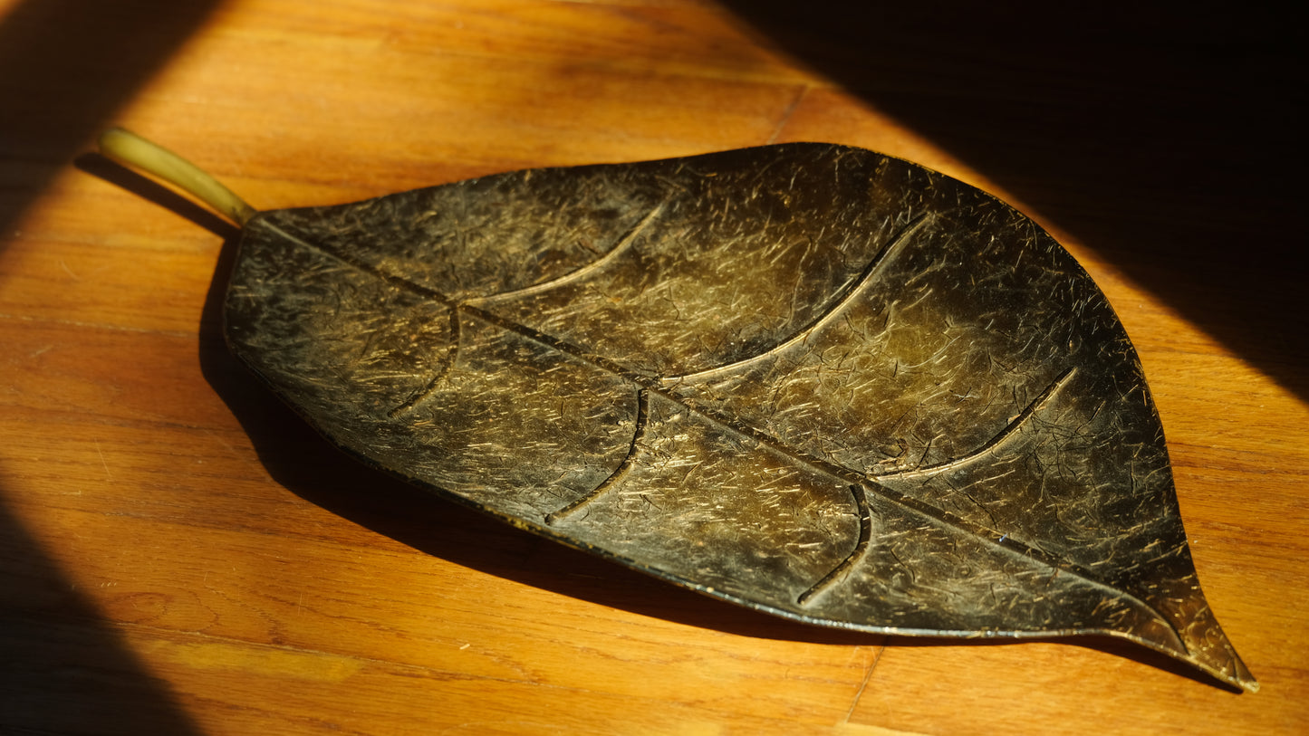 Botanical Trinket Dish — Entryway Catch-All